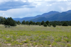 View East toward Ranchos de TaosWeb